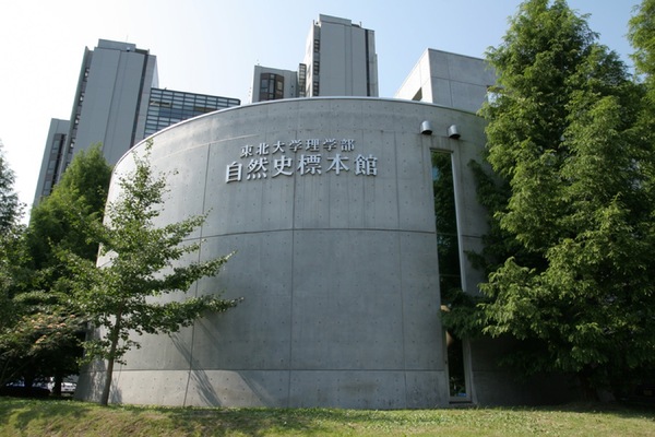 東北大学総合学術博物館